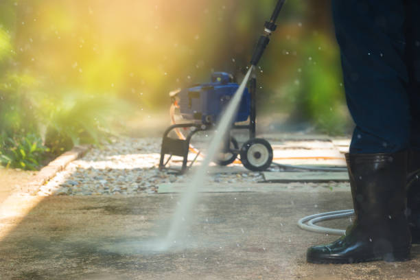 Animal Enclosure Cleaning in Reiffton, PA